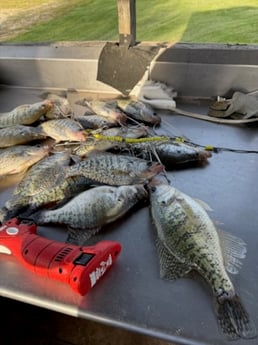 Fishing in Saint Charles, Missouri