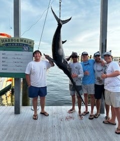 Swordfish Fishing in Destin, Florida
