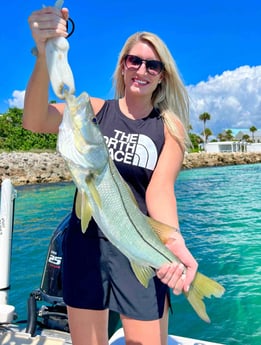 Snook Fishing in Sarasota, Florida