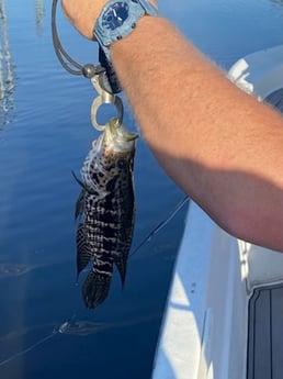 Fishing in Pembroke Pines, Florida