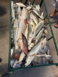 Fishing in Port Isabel, Texas