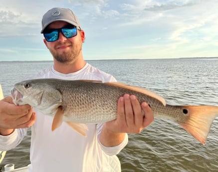 Redfish fishing in Placida, Florida