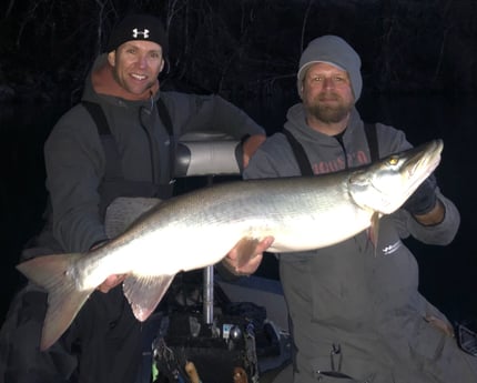 Muskie Fishing in Knoxville, Tennessee