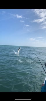 Fishing in New Smyrna Beach, Florida