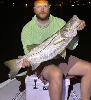 Snook Fishing in New Smyrna Beach, Florida
