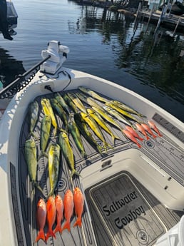Fishing in Key Largo, Florida