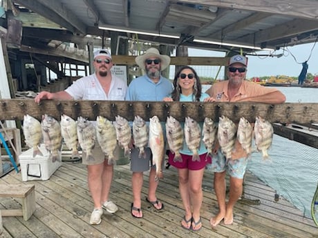Sheepshead Fishing in Port O&#039;Connor, Texas