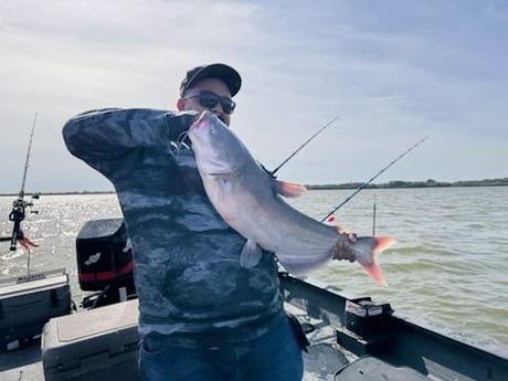 Blue Catfish Fishing in Dallas, Texas