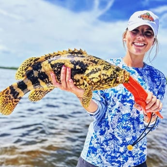 Goliath Grouper Fishing in Cape Coral, Florida