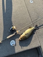 Fishing in Alba, Texas