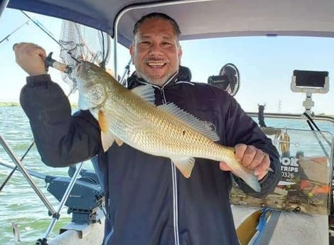 Redfish fishing in San Antonio, Texas