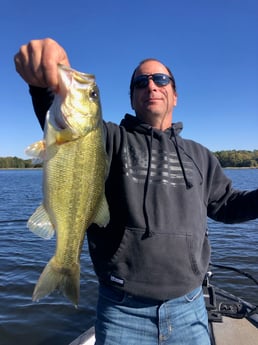 Largemouth Bass Fishing in Lake Fork, Texas