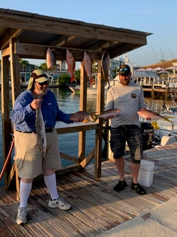 Mutton Snapper, Yellowtail Snapper Fishing in Tavernier, Florida