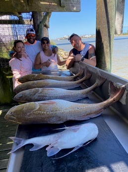 Hardhead Catfish, Redfish Fishing in Surfside Beach, Texas