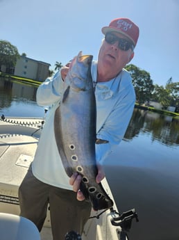 Fishing in Delray Beach, Florida