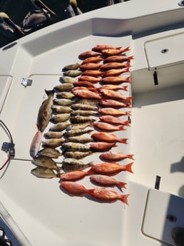 Fishing in Pensacola, Florida