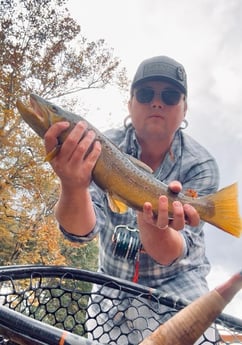 Fishing in Roswell, Georgia