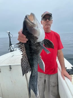 Fishing in Westport, Massachusetts