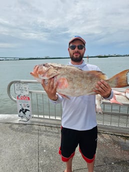 Fishing in New Port Richey, Florida