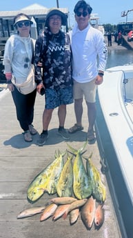 Mahi Mahi, Mangrove Snapper Fishing in Key West, Florida