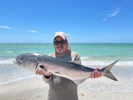 Fishing in Sarasota, Florida
