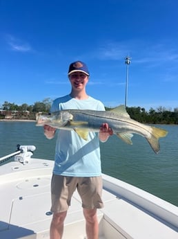 Fishing in Seminole, Florida