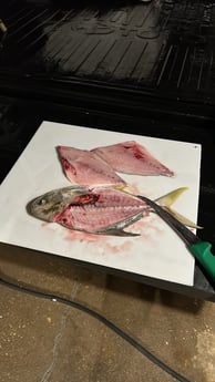 Fishing in Niceville, Florida