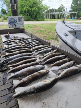 Fishing in Saint Bernard, Louisiana