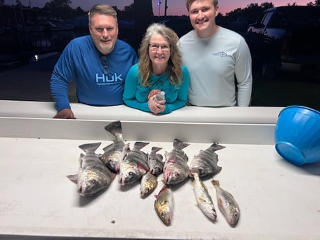 Fishing in Bay St. Louis, Mississippi