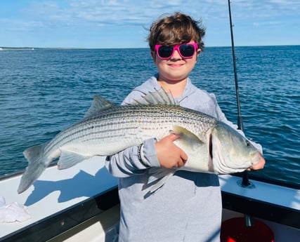 Striped Bass fishing in Montauk, New York
