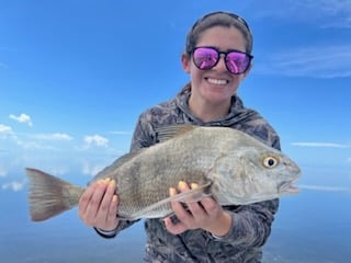 Black Drum Fishing in Miami, Florida