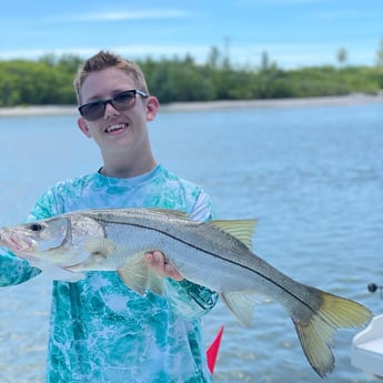 Snook fishing in Bokeelia, Florida
