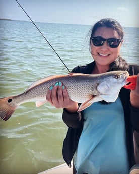 Redfish Fishing in Cape Coral, Florida