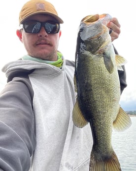 Largemouth Bass fishing in Jonestown, Texas