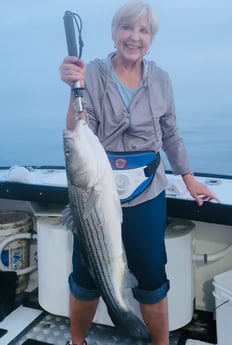Striped Bass fishing in Montauk, New York