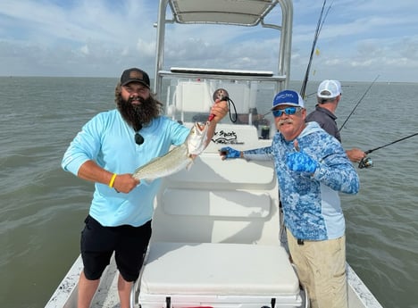 Fishing in McAllen, Texas