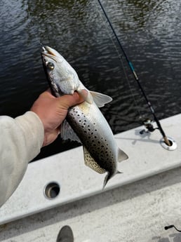 Fishing in Fairfield, North Carolina