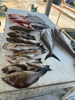 Fishing in Pensacola, Florida