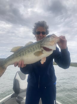 Largemouth Bass fishing in Zapata, Texas