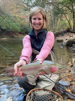 Rainbow Trout fishing in Leicester, North Carolina
