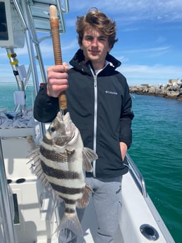 Sheepshead Fishing in Destin, Florida