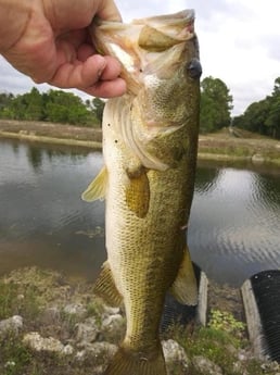 Fishing in Weston, Florida