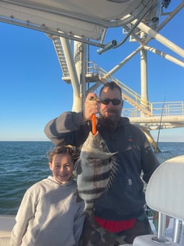Sheepshead Fishing in