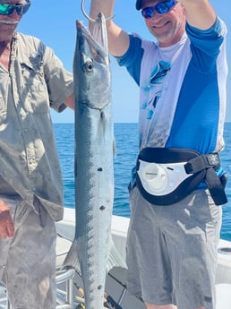 Barracuda fishing in Naples, Florida