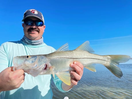 Snook Fishing in Tavernier, Florida