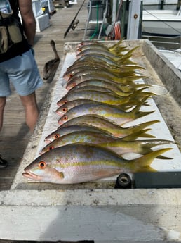Fishing in Marathon, Florida