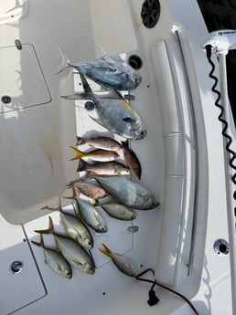 Fishing in Key Largo, Florida