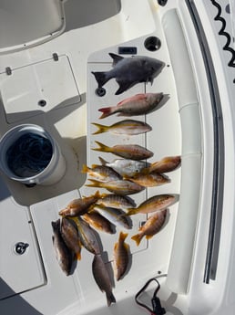 Fishing in Key Largo, Florida