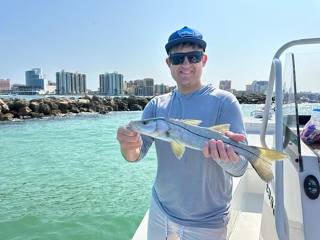 Fishing in Tampa, Florida