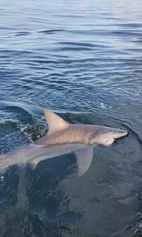 Fishing in Destin, Florida